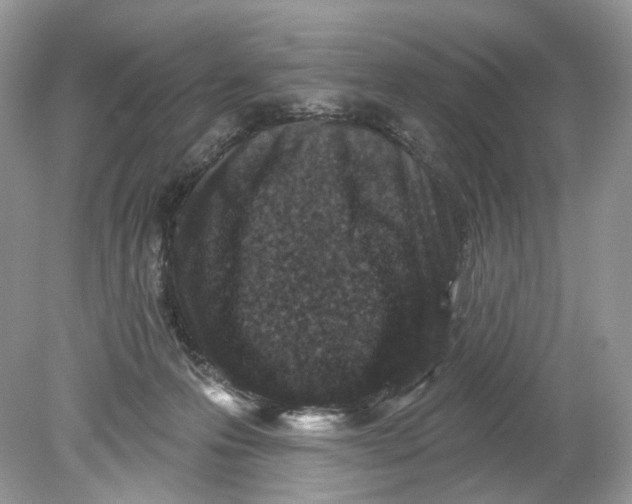 X0000078890223200612042058