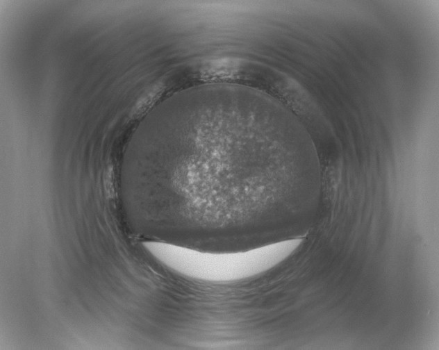 X0000078890224200612042058