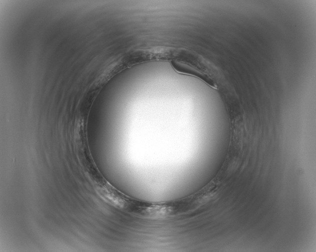 X0000078890225200612042058