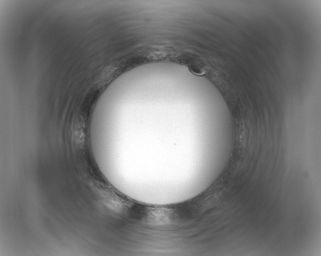 X0000078890226200612042058