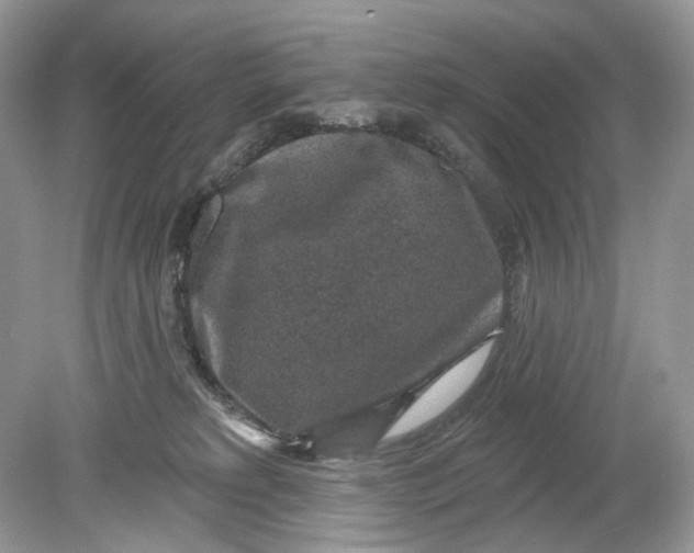 X0000078890229200612042058