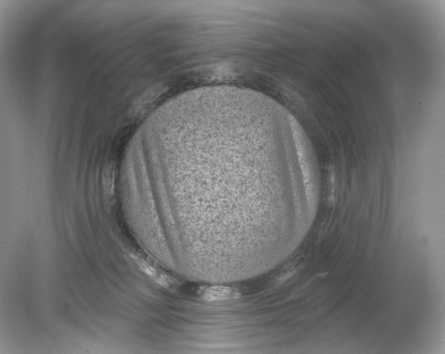 X0000078890230200612042058