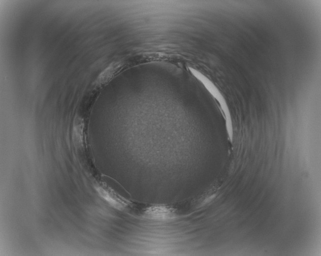 X0000078890231200612042058