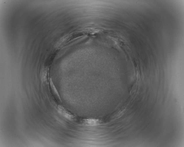 X0000078890233200612042058