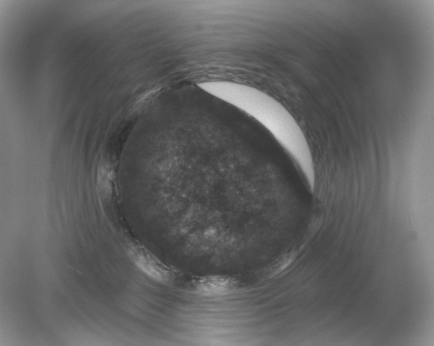 X0000078890235200612042058