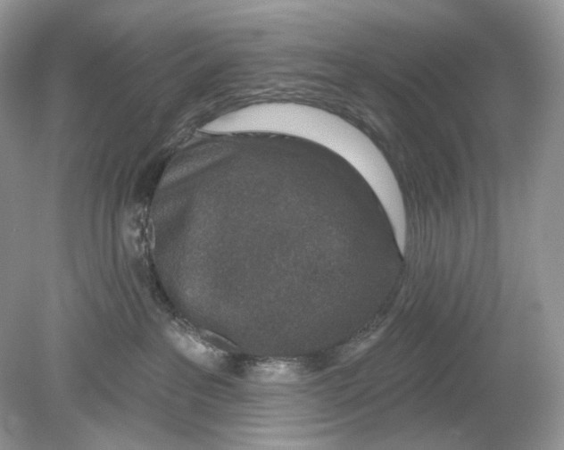 X0000078890237200612042058