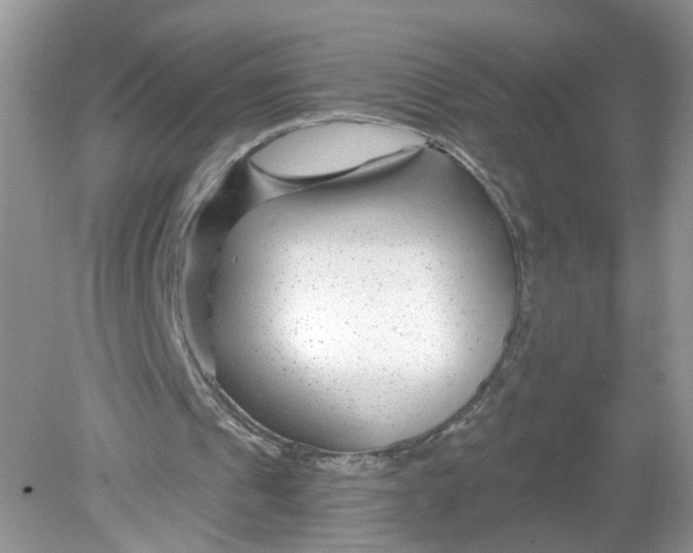 X0000078890241200612042057