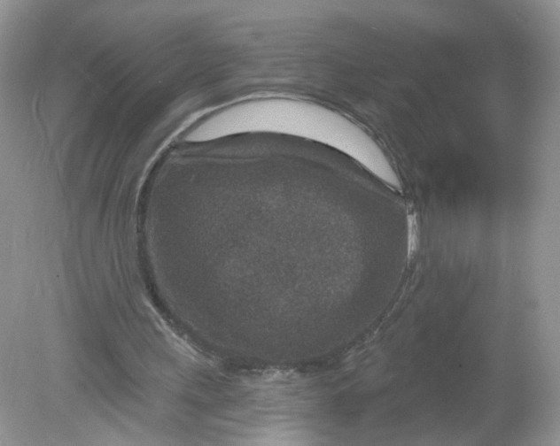 X0000078890243200612042057