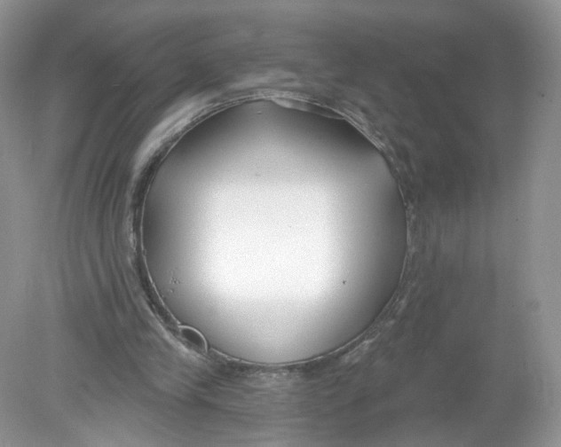 X0000078890245200612042057