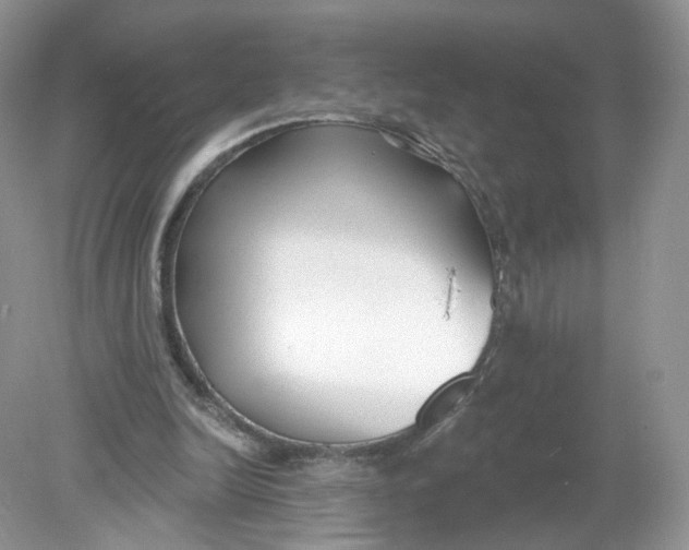 X0000078890246200612042057