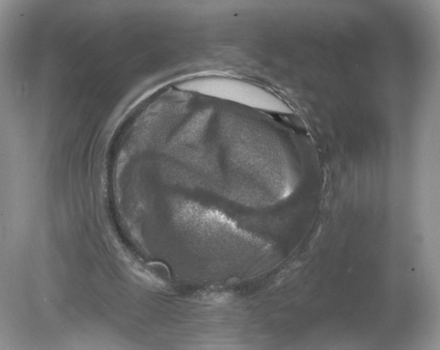 X0000078890247200612042057