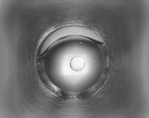 X0000078890248200612042057