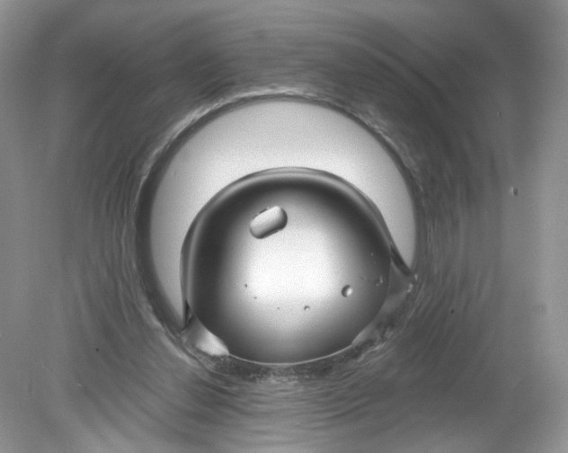 X0000078890252200612042057