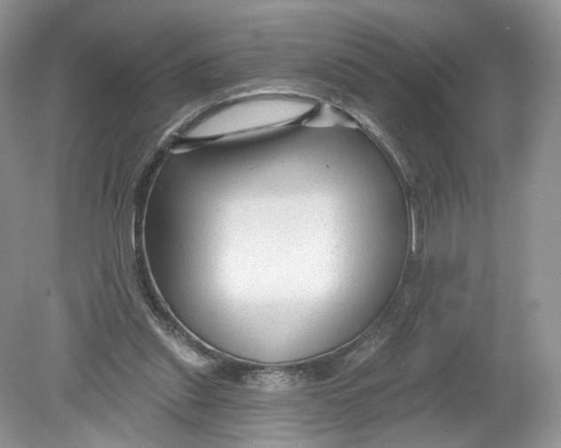 X0000078890253200612042057