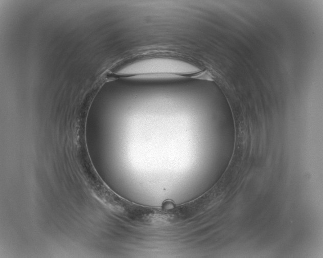 X0000078890255200612042057