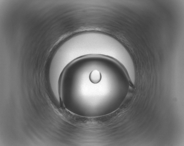 X0000078890256200612042057