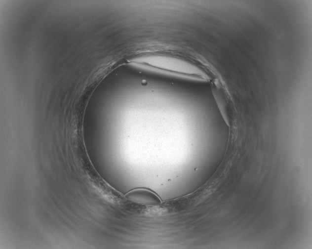 X0000078890257200612042057