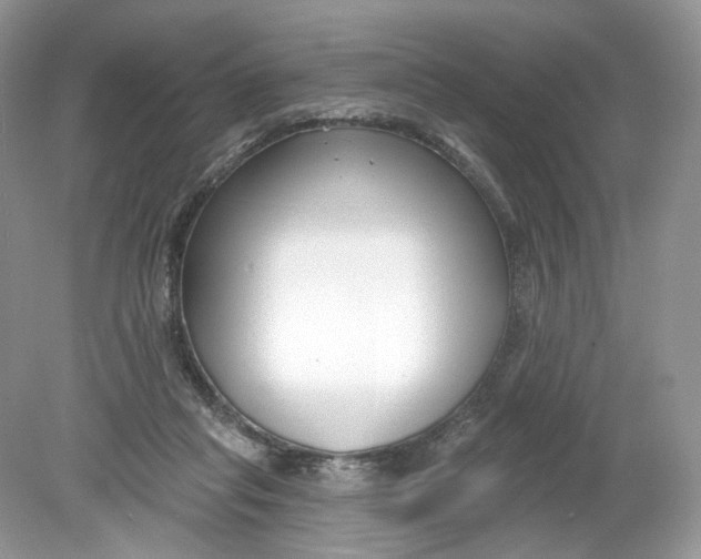 X0000078890261200612042058