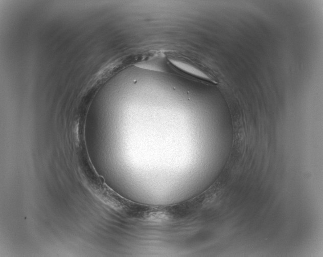 X0000078890262200612042058