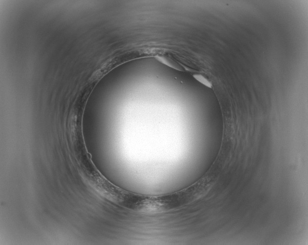 X0000078890263200612042058