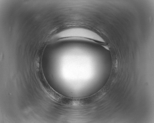 X0000078890264200612042058