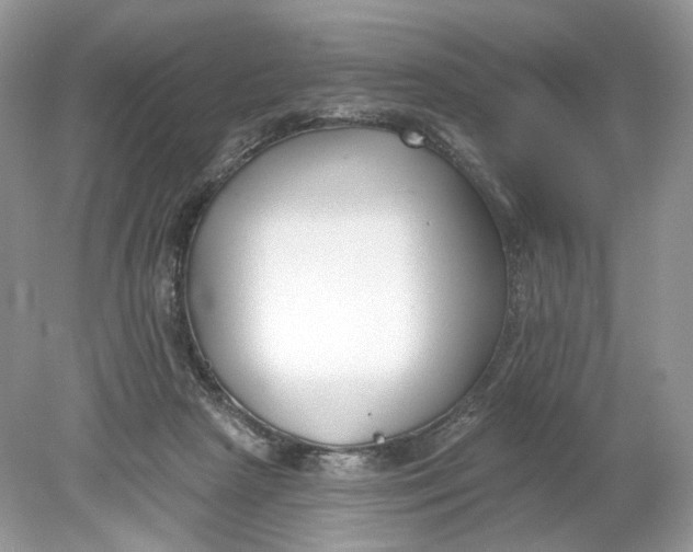 X0000078890265200612042058