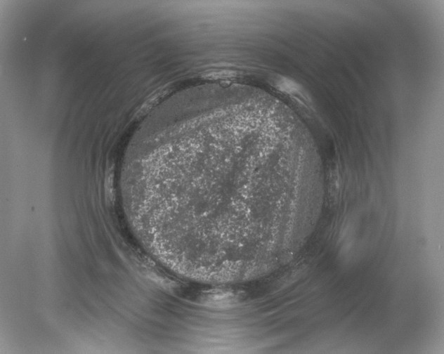 X0000078890267200612042058