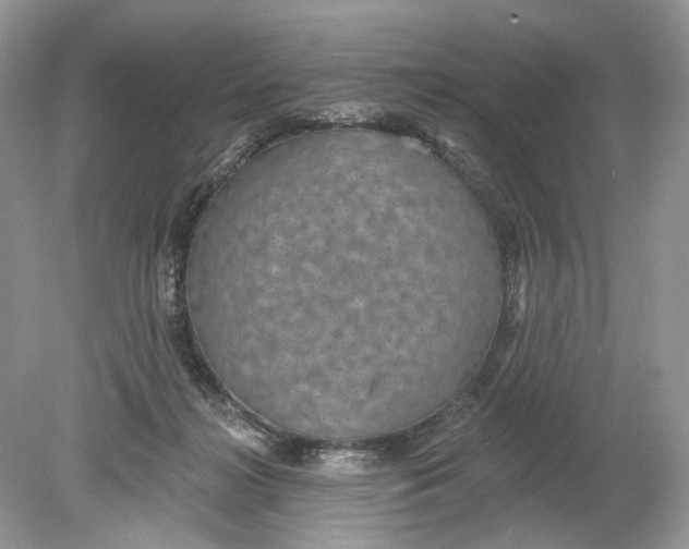 X0000078890268200612042058