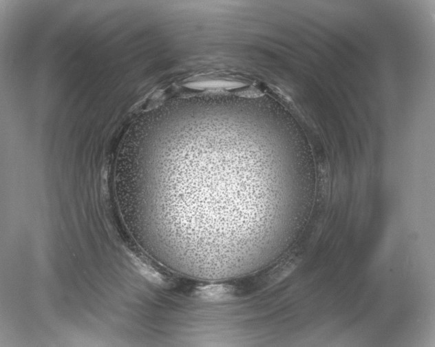 X0000078890269200612042058