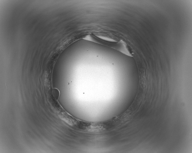 X0000078890270200612042058