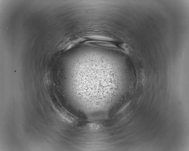 X0000078890272200612042058