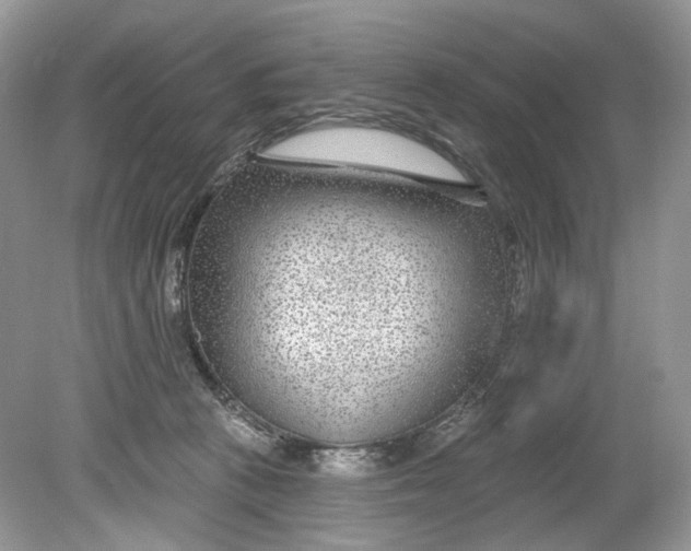 X0000078890273200612042058