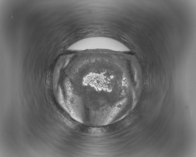 X0000078890277200612042058