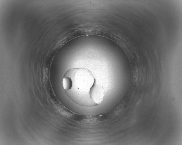 X0000078890278200612042058