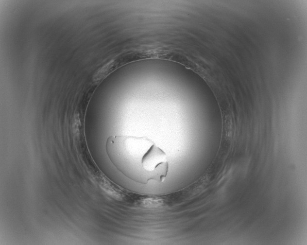 X0000078890279200612042058