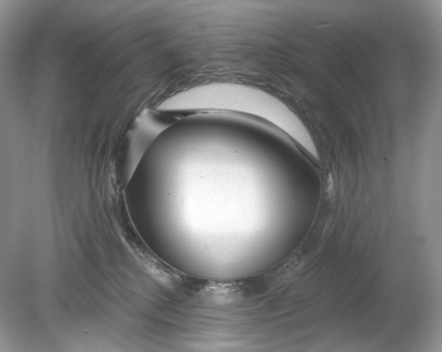 X0000078890280200612042058