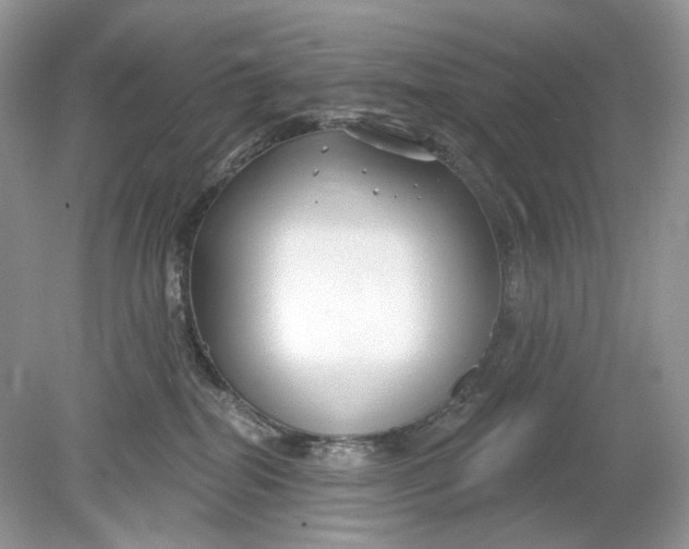 X0000078890282200612042058