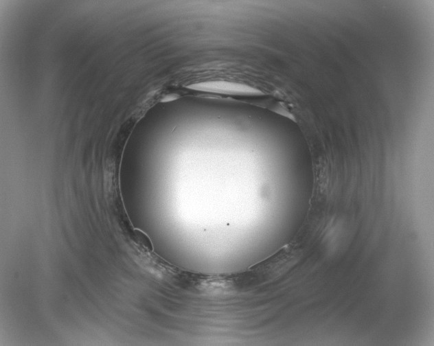 X0000078890283200612042058