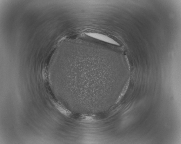 X0000078890285200612042058