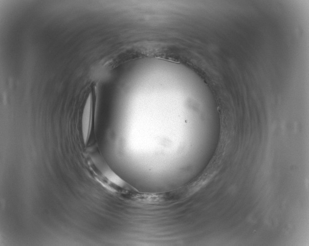 X0000078890288200612042058