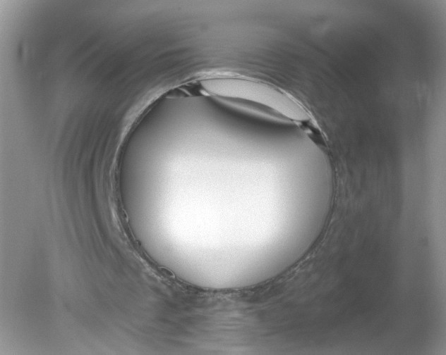 X0000078890289200612042057