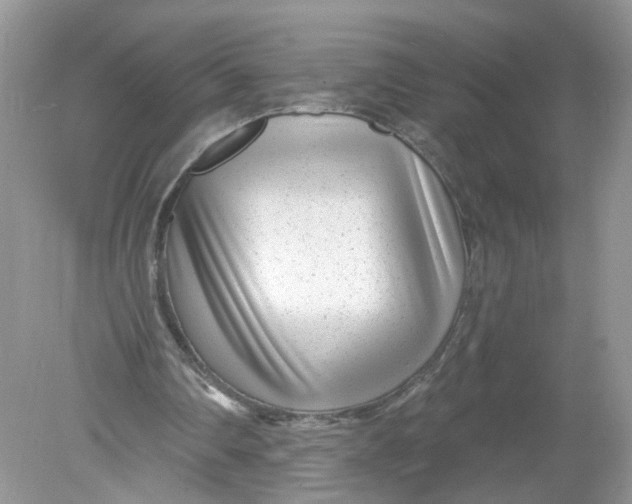 X0000078890290200612042057