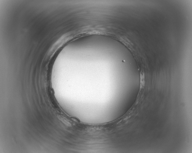 X0000078890291200612042057