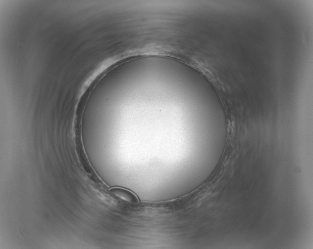 X0000078890292200612042057