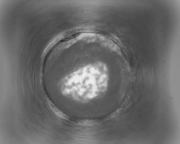 X0000078890293200612042057