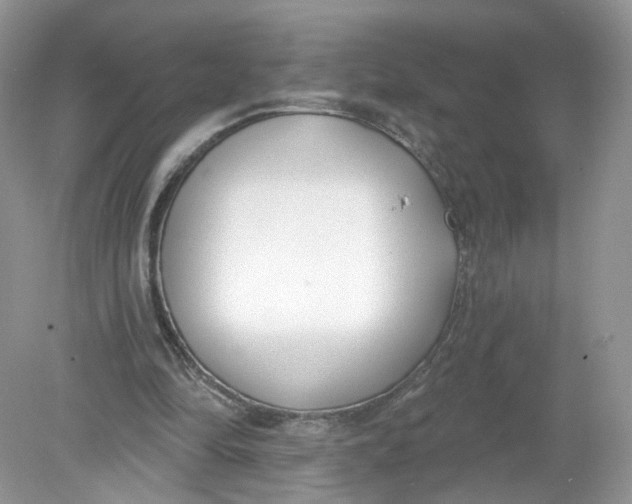 X0000078890294200612042057