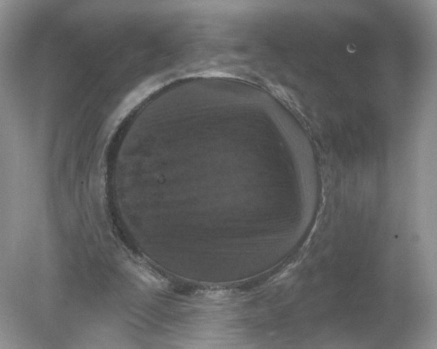 X0000078890295200612042057