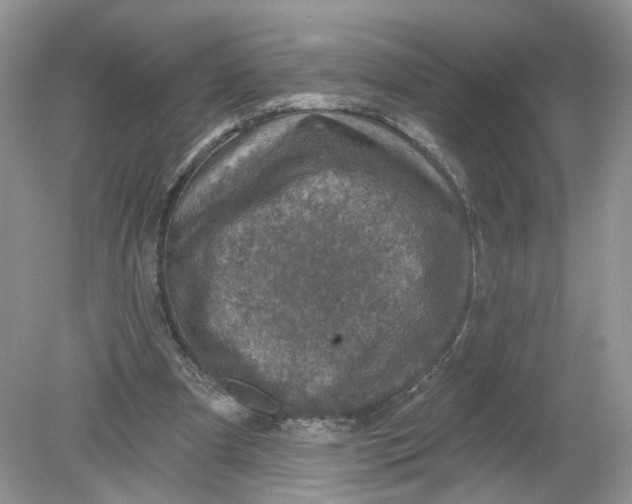 X0000078890297200612042057