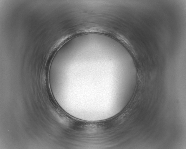 X0000078890298200612042057