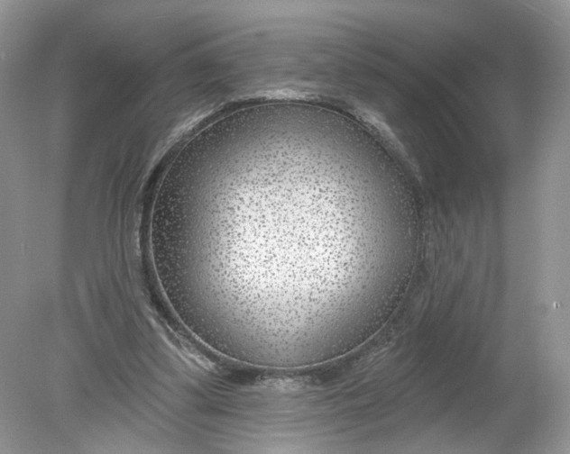 X0000078890299200612042057